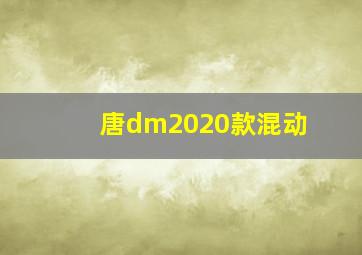 唐dm2020款混动