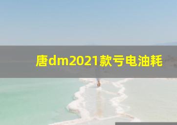 唐dm2021款亏电油耗