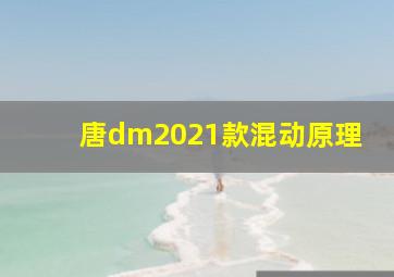 唐dm2021款混动原理