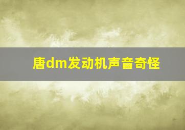 唐dm发动机声音奇怪