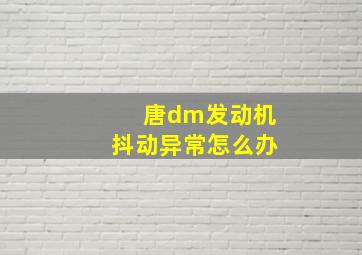 唐dm发动机抖动异常怎么办