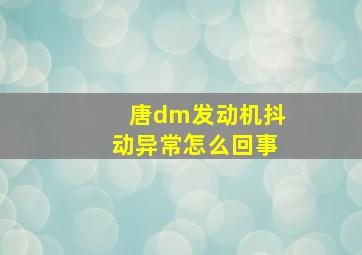 唐dm发动机抖动异常怎么回事