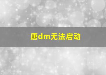 唐dm无法启动