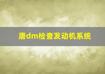 唐dm检查发动机系统