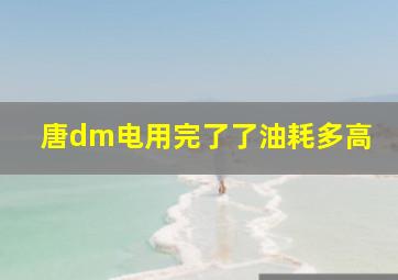 唐dm电用完了了油耗多高