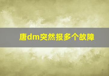 唐dm突然报多个故障