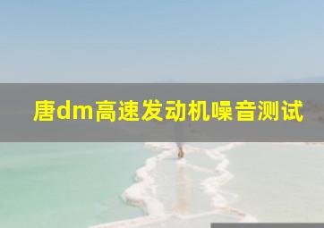 唐dm高速发动机噪音测试