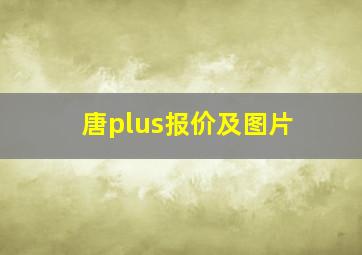 唐plus报价及图片