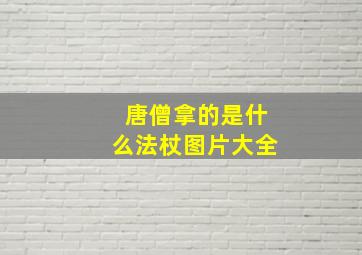 唐僧拿的是什么法杖图片大全