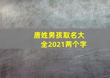 唐姓男孩取名大全2021两个字