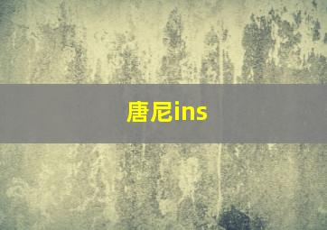 唐尼ins