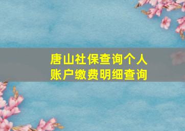 唐山社保查询个人账户缴费明细查询