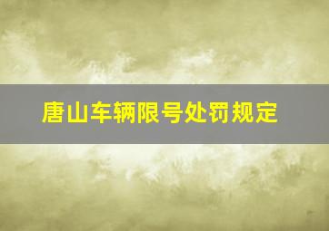 唐山车辆限号处罚规定