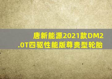 唐新能源2021款DM2.0T四驱性能版尊贵型轮胎