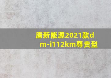 唐新能源2021款dm-i112km尊贵型