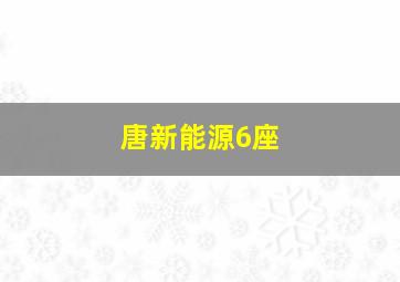 唐新能源6座