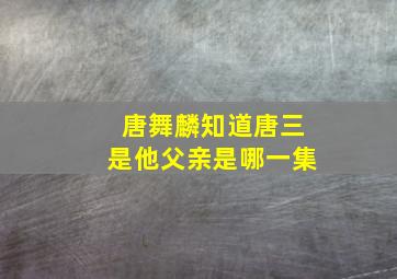 唐舞麟知道唐三是他父亲是哪一集