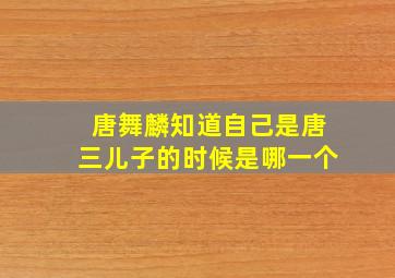 唐舞麟知道自己是唐三儿子的时候是哪一个