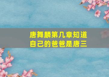 唐舞麟第几章知道自己的爸爸是唐三