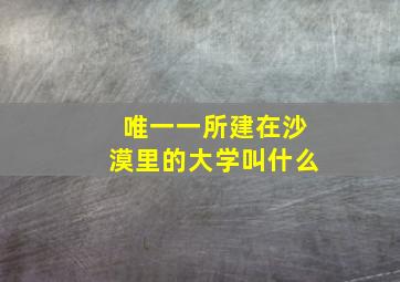 唯一一所建在沙漠里的大学叫什么