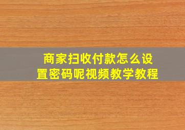 商家扫收付款怎么设置密码呢视频教学教程