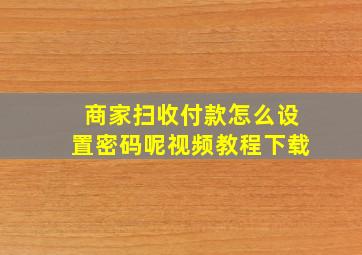 商家扫收付款怎么设置密码呢视频教程下载