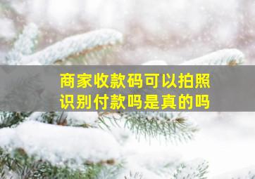 商家收款码可以拍照识别付款吗是真的吗