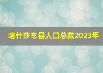 喀什莎车县人口总数2023年