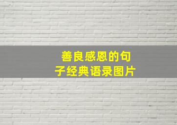 善良感恩的句子经典语录图片