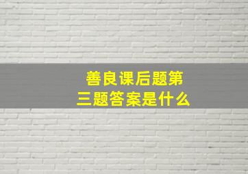 善良课后题第三题答案是什么