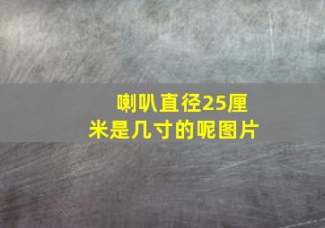 喇叭直径25厘米是几寸的呢图片