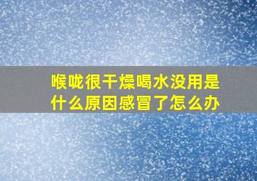 喉咙很干燥喝水没用是什么原因感冒了怎么办