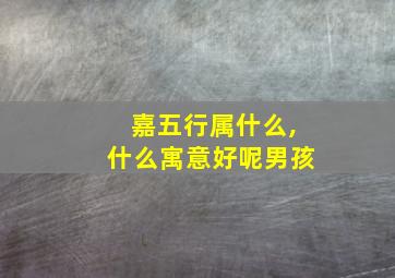 嘉五行属什么,什么寓意好呢男孩