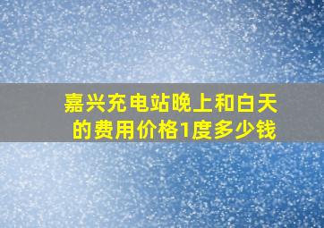 嘉兴充电站晚上和白天的费用价格1度多少钱