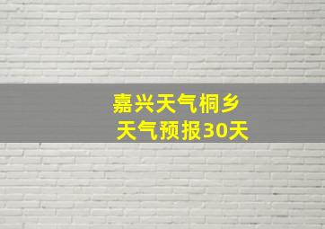 嘉兴天气桐乡天气预报30天