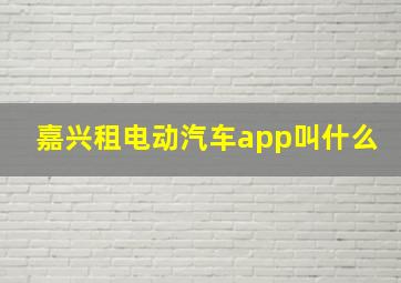 嘉兴租电动汽车app叫什么