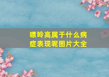 嘌呤高属于什么病症表现呢图片大全