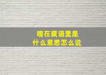 嘎在藏语里是什么意思怎么说