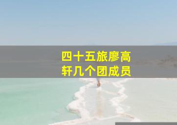 四十五旅廖高轩几个团成员