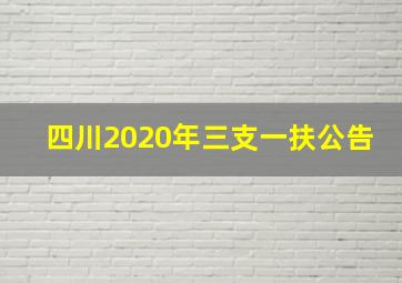 四川2020年三支一扶公告