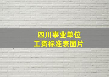 四川事业单位工资标准表图片