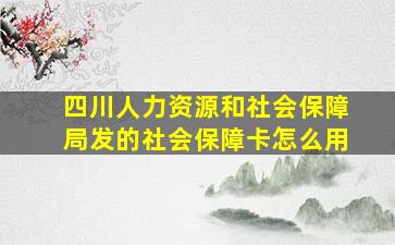 四川人力资源和社会保障局发的社会保障卡怎么用