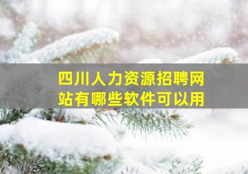 四川人力资源招聘网站有哪些软件可以用