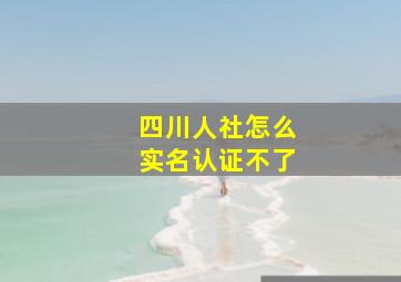 四川人社怎么实名认证不了