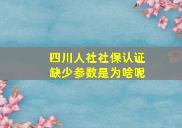 四川人社社保认证缺少参数是为啥呢