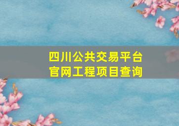 四川公共交易平台官网工程项目查询