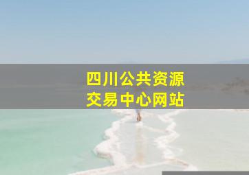 四川公共资源交易中心网站