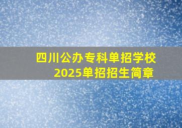 四川公办专科单招学校2025单招招生简章