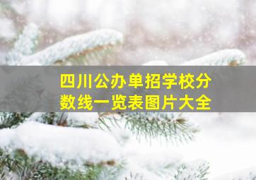 四川公办单招学校分数线一览表图片大全