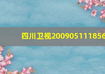 四川卫视200905111856